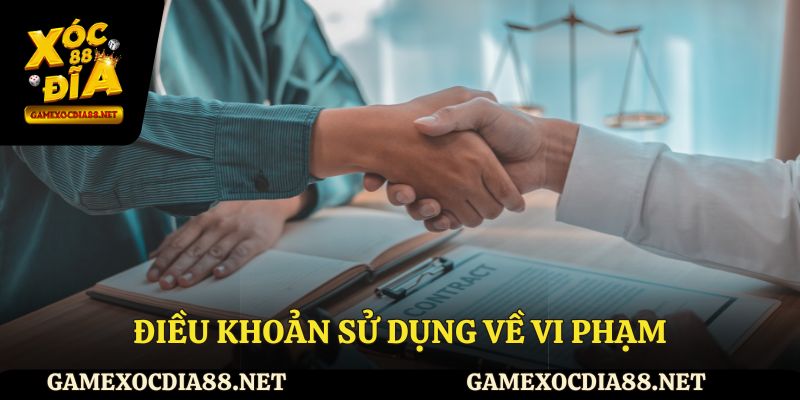 Điều khoản sử dụng về vi phạm