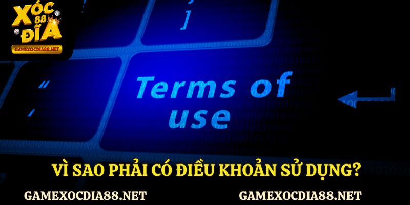 Vì sao phải có điều khoản sử dụng?