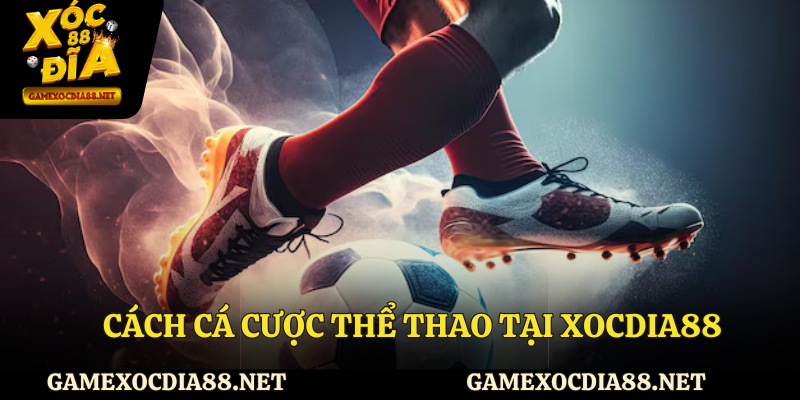 Cách cá cược thể thao tại XOCDIA88