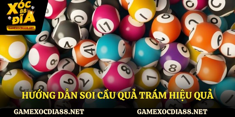 Hướng dẫn soi cầu quả trám hiệu quả