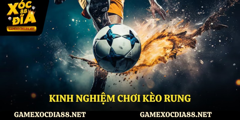 Kinh nghiệm chơi kèo rung