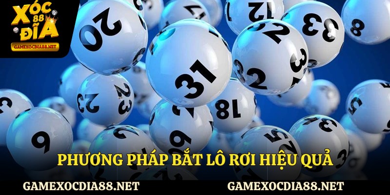 Phương pháp bắt lô rơi hiệu quả