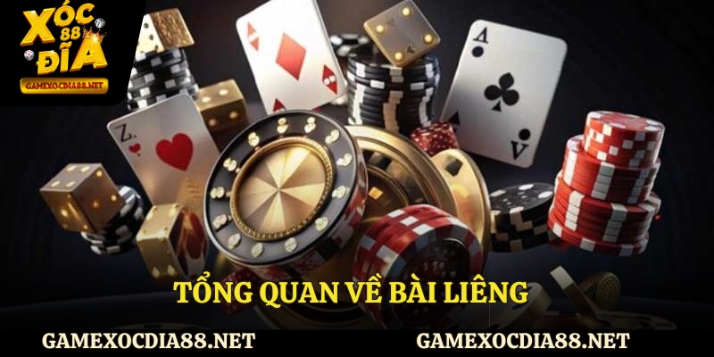 Tổng quan về bài liêng